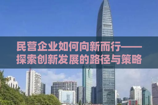 民营企业如何向新而行——探索创新发展的路径与策略