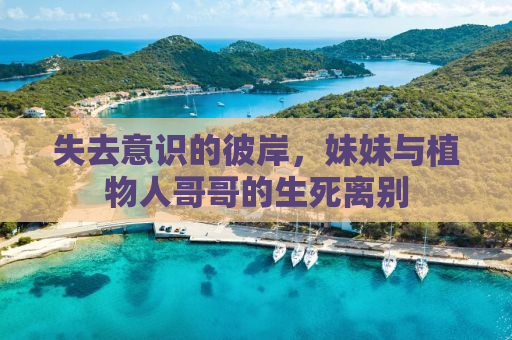 失去意识的彼岸，妹妹与植物人哥哥的生死离别