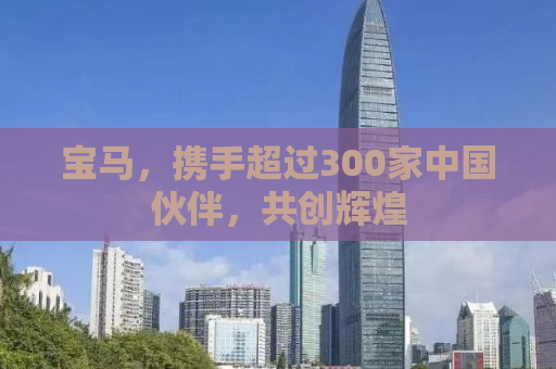 宝马，携手超过300家中国伙伴，共创辉煌