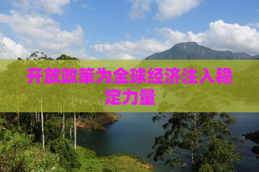开放政策为全球经济注入稳定力量