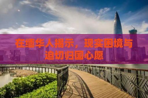 在缅华人揭示，现实困境与迫切归国心愿
