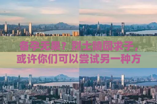 备孕无果？烈士陵园求子，或许你们可以尝试另一种方式