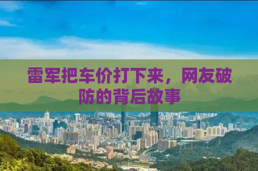 雷军把车价打下来，网友破防的背后故事