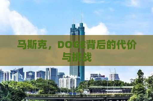 马斯克，DOGE背后的代价与挑战