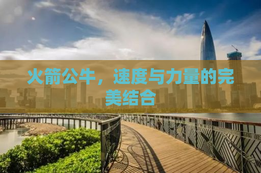 火箭公牛，速度与力量的完美结合