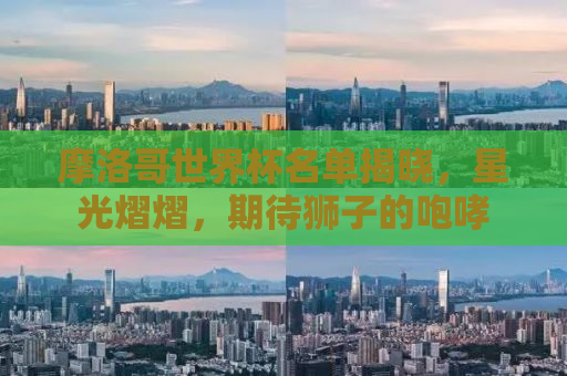 摩洛哥世界杯名单揭晓，星光熠熠，期待狮子的咆哮