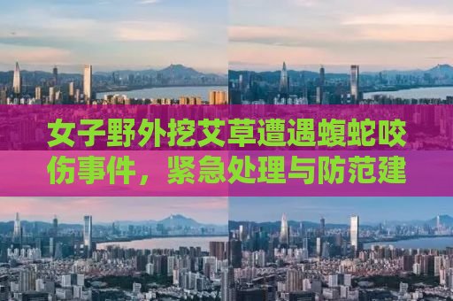 女子野外挖艾草遭遇蝮蛇咬伤事件，紧急处理与防范建议