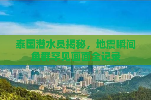 泰国潜水员揭秘，地震瞬间鱼群罕见画面全记录