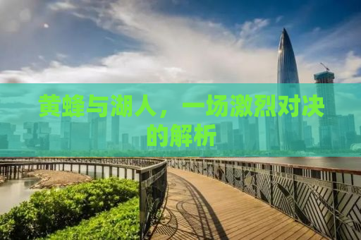 黄蜂与湖人，一场激烈对决的解析