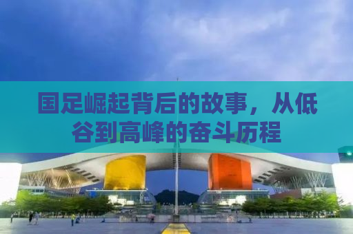 国足崛起背后的故事，从低谷到高峰的奋斗历程