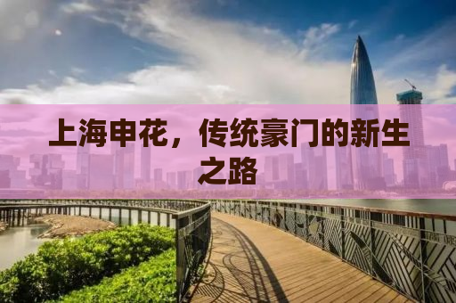 上海申花，传统豪门的新生之路