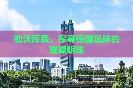勒沃库森，探寻德国足球的璀璨明珠