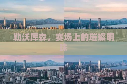 勒沃库森，赛场上的璀璨明珠