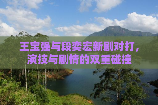 王宝强与段奕宏新剧对打，演技与剧情的双重碰撞