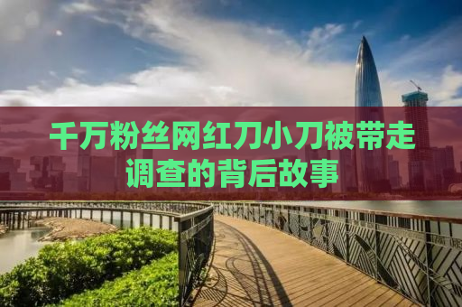 千万粉丝网红刀小刀被带走调查的背后故事