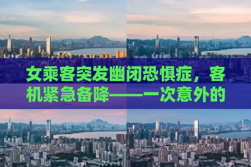 女乘客突发幽闭恐惧症，客机紧急备降——一次意外的空中紧急降落