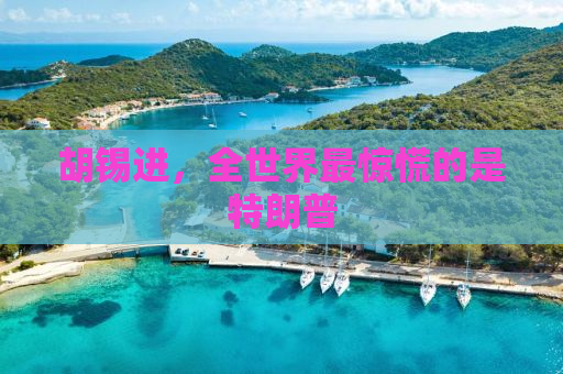 胡锡进，全世界最惊慌的是特朗普
