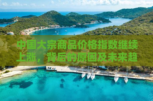 中国大宗商品价格指数继续上涨，背后的原因及未来趋势分析