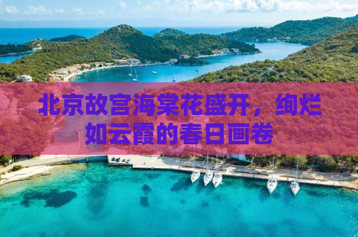 北京故宫海棠花盛开，绚烂如云霞的春日画卷