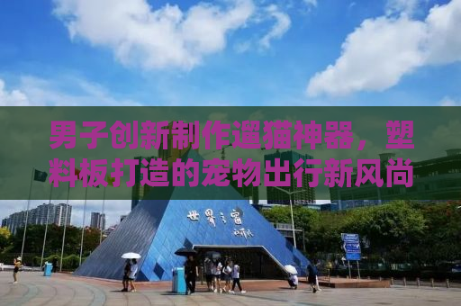 男子创新制作遛猫神器，塑料板打造的宠物出行新风尚