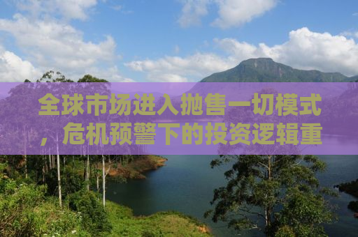 全球市场进入抛售一切模式，危机预警下的投资逻辑重塑