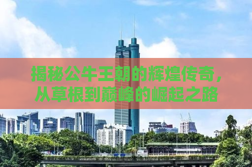 揭秘公牛王朝的辉煌传奇，从草根到巅峰的崛起之路