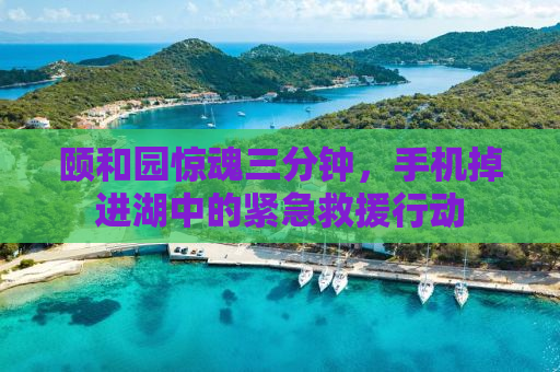 颐和园惊魂三分钟，手机掉进湖中的紧急救援行动