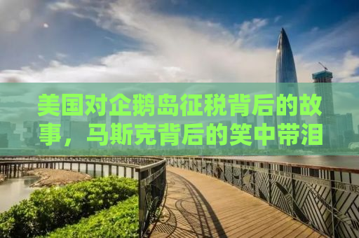 美国对企鹅岛征税背后的故事，马斯克背后的笑中带泪