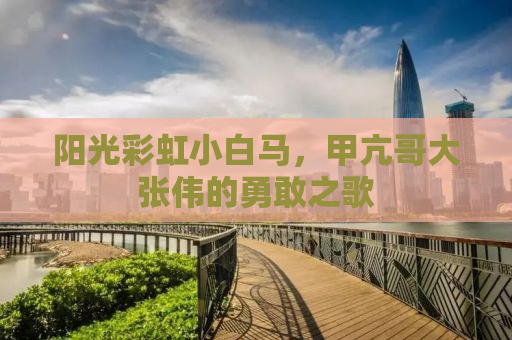 阳光彩虹小白马，甲亢哥大张伟的勇敢之歌