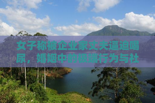 女子称被企业家丈夫逼迫喝尿，婚姻中的极端行为与社会反思