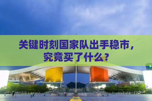 关键时刻国家队出手稳市，究竟买了什么？