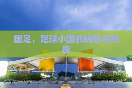 国足，足球小国的崛起与挑战