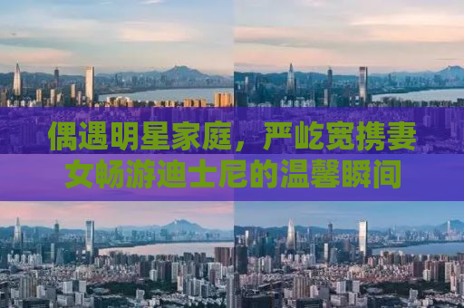 偶遇明星家庭，严屹宽携妻女畅游迪士尼的温馨瞬间