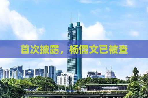 首次披露，杨儒文已被查