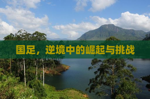 国足，逆境中的崛起与挑战