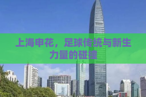 上海申花，足球传统与新生力量的碰撞