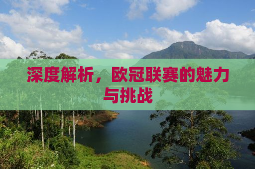 深度解析，欧冠联赛的魅力与挑战