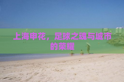 上海申花，足球之魂与城市的荣耀