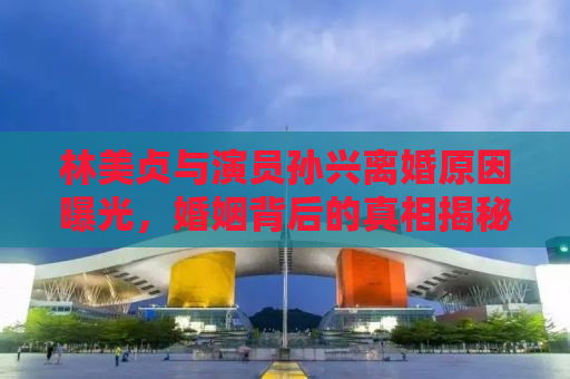 林美贞与演员孙兴离婚原因曝光，婚姻背后的真相揭秘