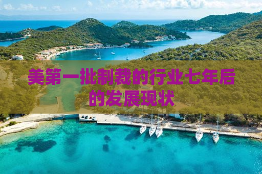 美第一批制裁的行业七年后的发展现状