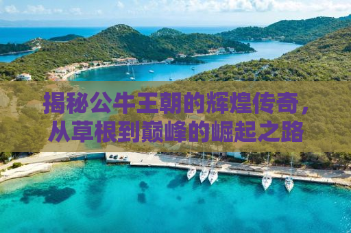 揭秘公牛王朝的辉煌传奇，从草根到巅峰的崛起之路