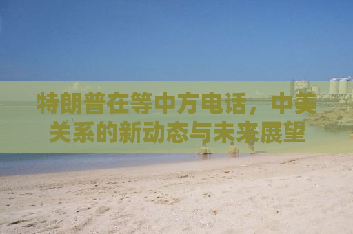特朗普在等中方电话，中美关系的新动态与未来展望