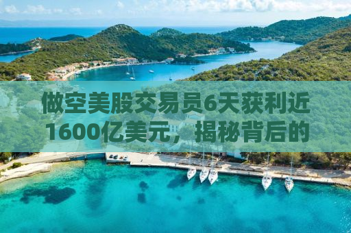 做空美股交易员6天获利近1600亿美元，揭秘背后的策略与风险