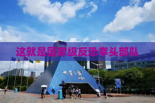 这就是国家级反恐拳头部队