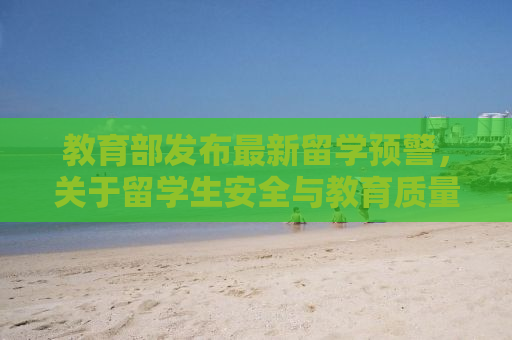 教育部发布最新留学预警，关于留学生安全与教育质量的双重关注（2025年第1号留学预警解读）