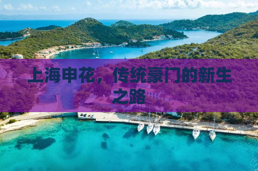 上海申花，传统豪门的新生之路