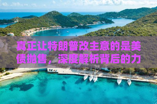 真正让特朗普改主意的是美债抛售，深度解析背后的力量与考量