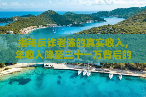 揭秘反诈老陈的真实收入，年收入降至三十一万背后的故事