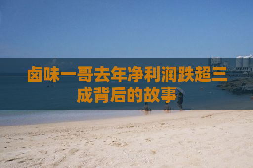 卤味一哥去年净利润跌超三成背后的故事