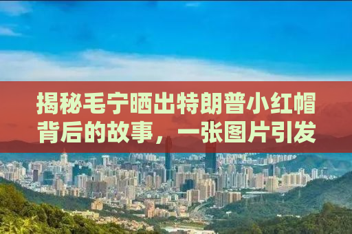 揭秘毛宁晒出特朗普小红帽背后的故事，一张图片引发市场热议，市值飙升至77美元！